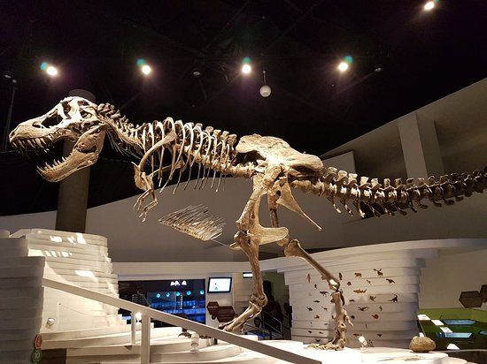 De Geest Museum in Taguig